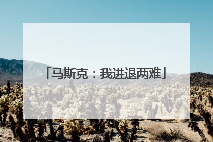 马斯克：我进退两难