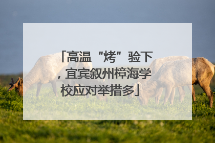 高温“烤”验下，宜宾叙州樟海学校应对举措多