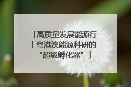高质量发展能源行丨粤港澳能源科研的“超级孵化器”