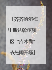 齐齐哈尔梅里斯达斡尔族区“库木勒”节热闹开场