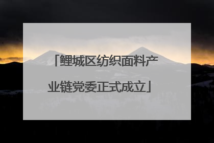 鲤城区纺织面料产业链党委正式成立