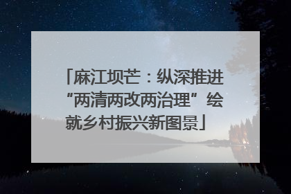 麻江坝芒：纵深推进“两清两改两治理”绘就乡村振兴新图景
