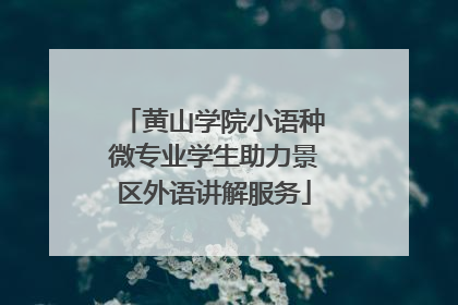黄山学院小语种微专业学生助力景区外语讲解服务