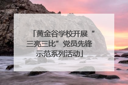 黄金谷学校开展“三亮三比”党员先锋示范系列活动
