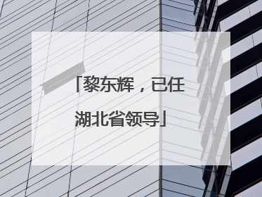 黎东辉，已任湖北省领导