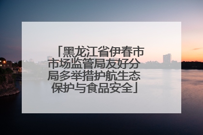 黑龙江省伊春市市场监管局友好分局多举措护航生态保护与食品安全