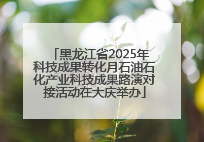 黑龙江省2025年科技成果转化月石油石化产业科技成果路演对接活动在大庆举办