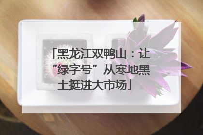 黑龙江双鸭山：让“绿字号”从寒地黑土挺进大市场