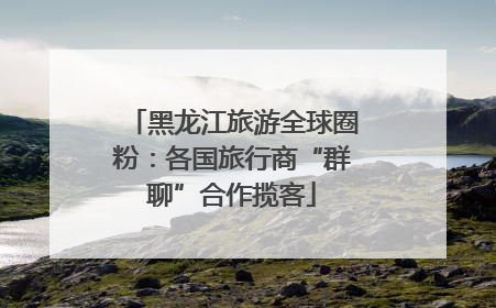 黑龙江旅游全球圈粉：各国旅行商“群聊”合作揽客