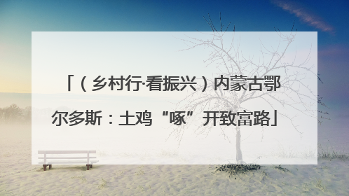 （乡村行·看振兴）内蒙古鄂尔多斯：土鸡“啄”开致富路