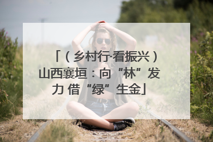 （乡村行·看振兴）山西襄垣：向“林”发力 借“绿”生金
