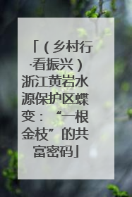（乡村行·看振兴）浙江黄岩水源保护区蝶变：“一根金枝”的共富密码