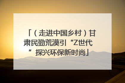 （走进中国乡村）甘肃民勤荒漠引“Z世代”探兴环保新时尚