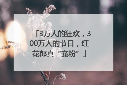 3万人的狂欢，300万人的节日，红花郎真“宠粉”