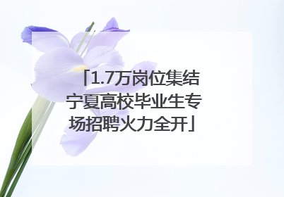 1.7万岗位集结 宁夏高校毕业生专场招聘火力全开