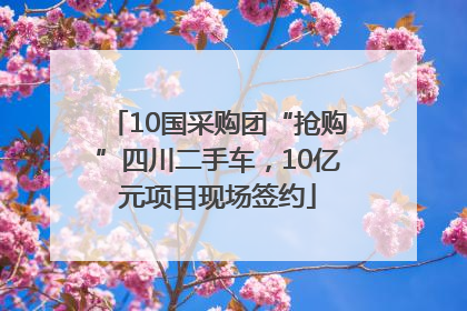10国采购团“抢购”四川二手车，10亿元项目现场签约