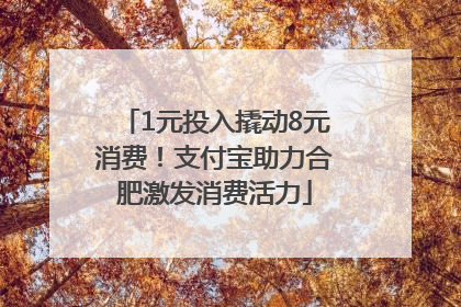 1元投入撬动8元消费！支付宝助力合肥激发消费活力