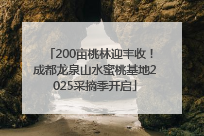200亩桃林迎丰收！成都龙泉山水蜜桃基地2025采摘季开启