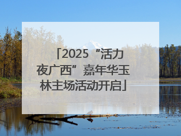 2025“活力夜广西”嘉年华玉林主场活动开启
