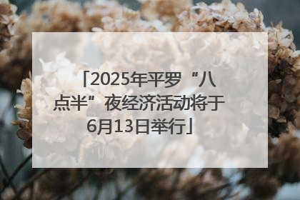 2025年平罗“八点半”夜经济活动将于6月13日举行