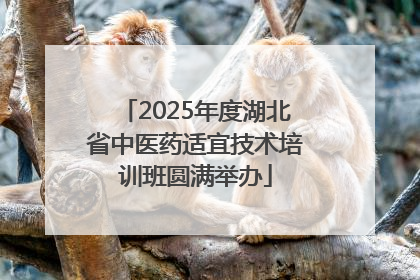 2025年度湖北省中医药适宜技术培训班圆满举办