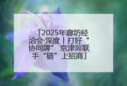 2025年廊坊经洽会·深度丨打好“协同牌” 京津冀联手“链”上招商