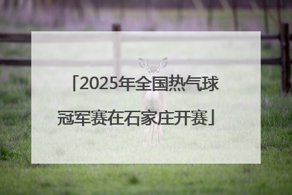 2025年全国热气球冠军赛在石家庄开赛