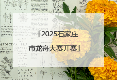 2025石家庄市龙舟大赛开赛