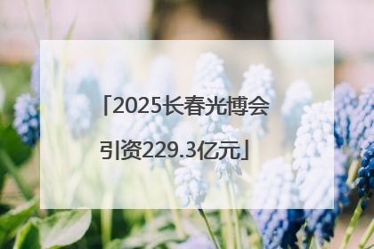 2025长春光博会引资229.3亿元
