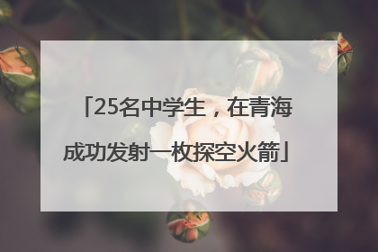 25名中学生，在青海成功发射一枚探空火箭