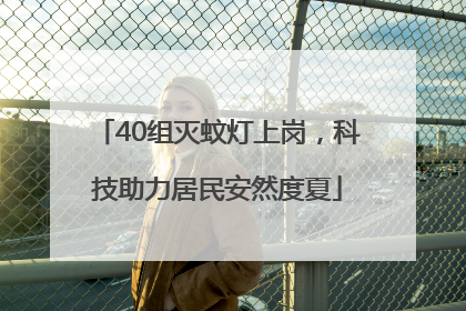 40组灭蚊灯上岗，科技助力居民安然度夏