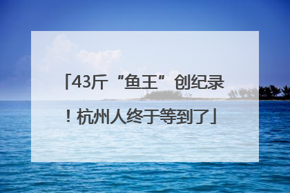43斤“鱼王”创纪录！杭州人终于等到了
