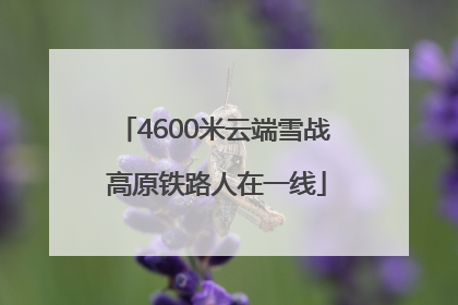 4600米云端雪战 高原铁路人在一线