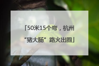 50米15个弯，杭州“猪大肠”路火出圈