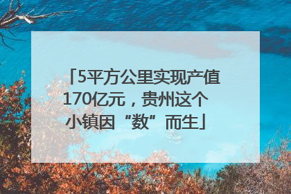 5平方公里实现产值170亿元，贵州这个小镇因“数”而生