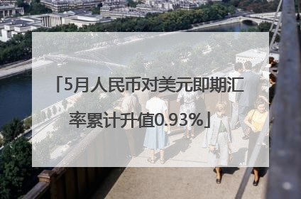 5月人民币对美元即期汇率累计升值0.93%