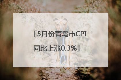 5月份青岛市CPI同比上涨0.3%