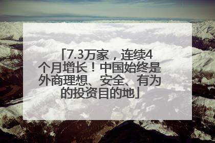 7.3万家，连续4个月增长！中国始终是外商理想、安全、有为的投资目的地