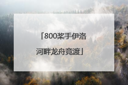 800桨手伊洛河畔龙舟竞渡