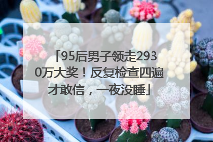 95后男子领走2930万大奖！反复检查四遍才敢信，一夜没睡