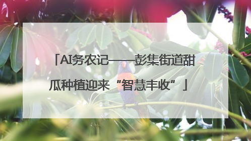 AI务农记——彭集街道甜瓜种植迎来“智慧丰收”
