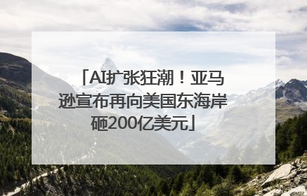 AI扩张狂潮！亚马逊宣布再向美国东海岸砸200亿美元