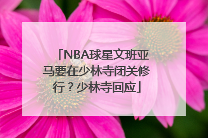 NBA球星文班亚马要在少林寺闭关修行？少林寺回应