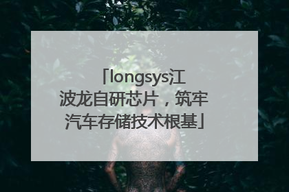 longsys江波龙自研芯片，筑牢汽车存储技术根基
